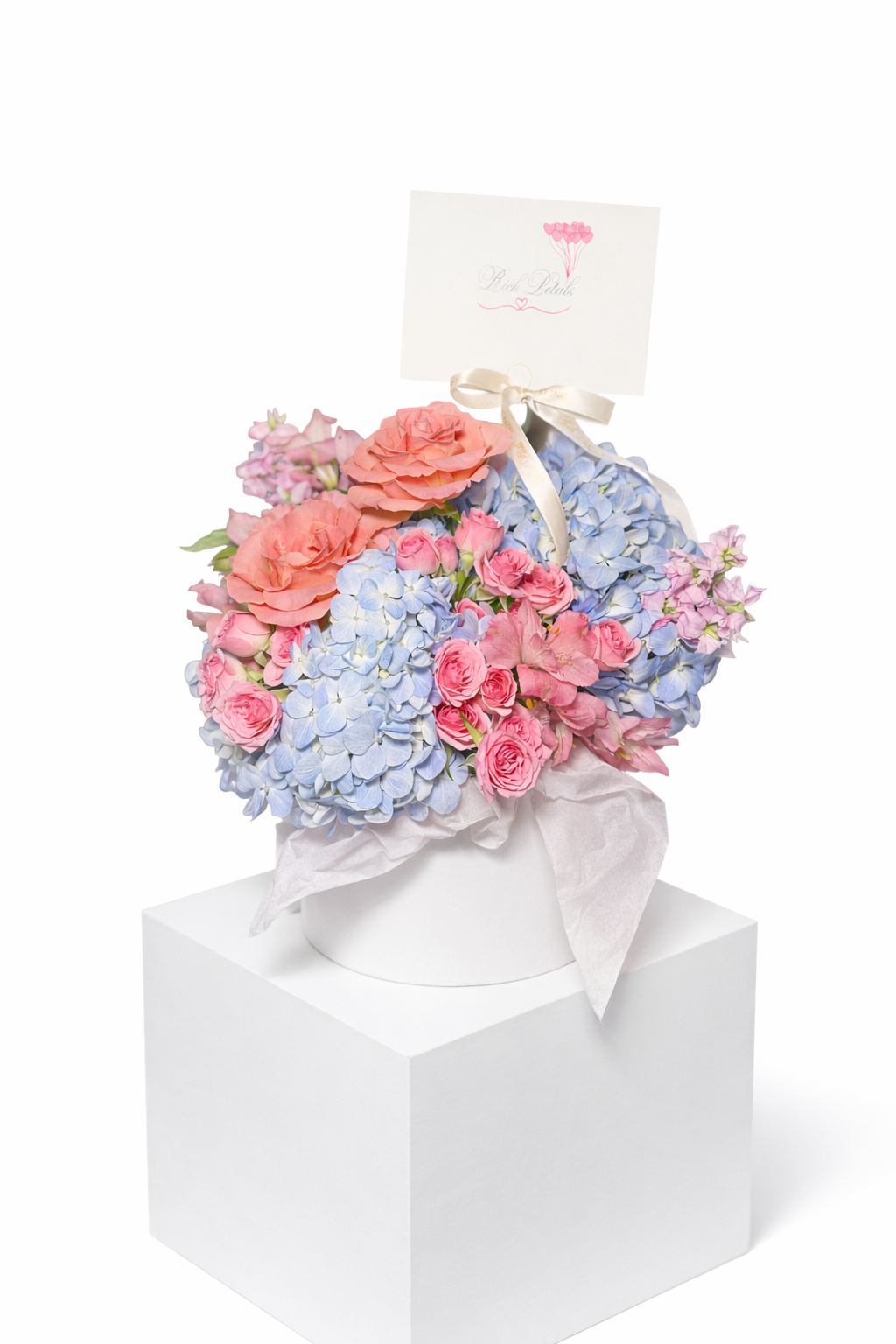 PRICE RANGE (100-300 AED)