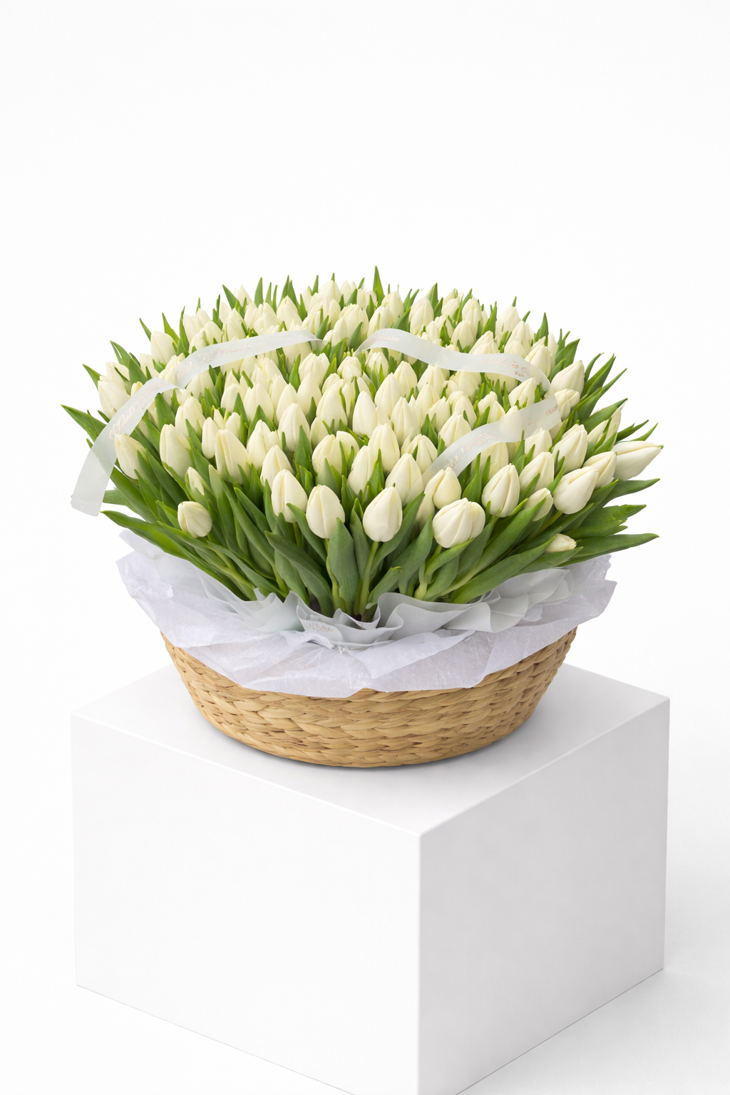 PRICE RANGE (600-1000 AED)