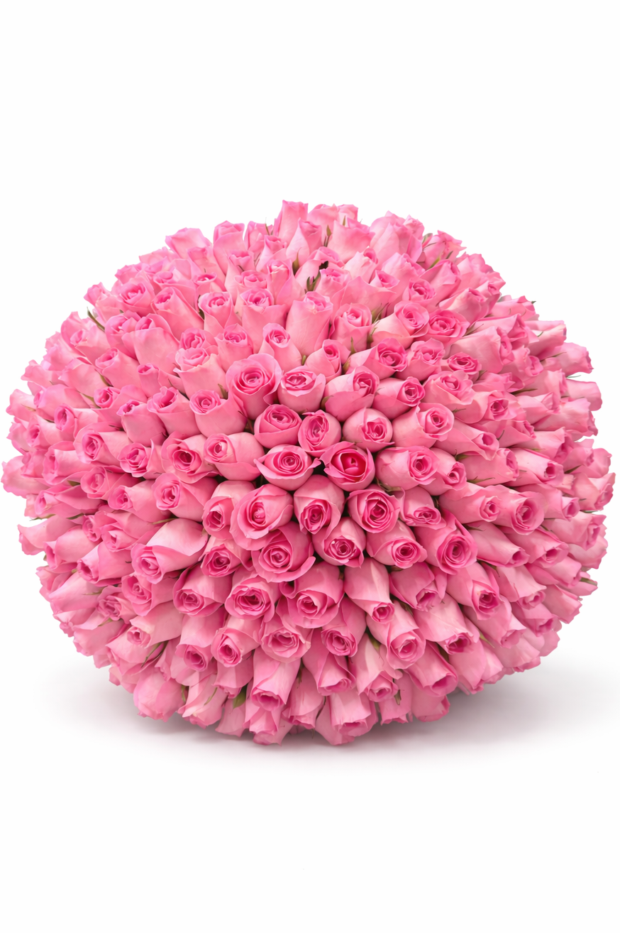 200 PINK Roses Bouquet