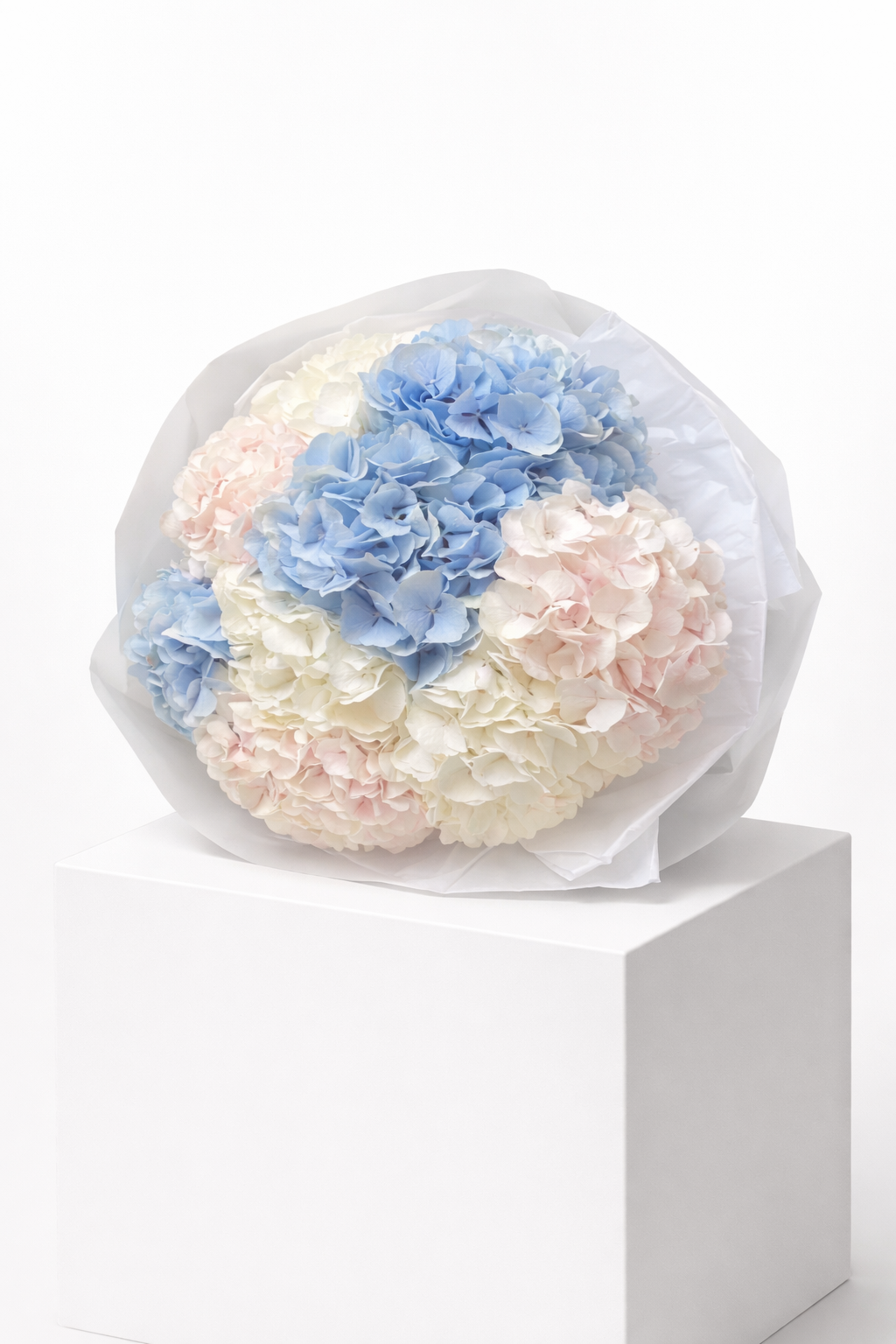 "Perle" 9 Hydrangea Obsession