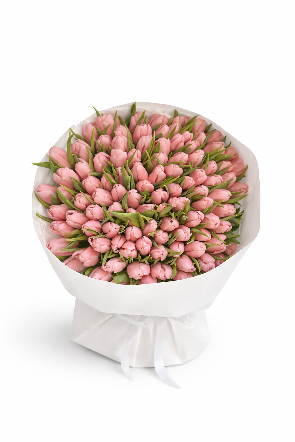 155 Royal Tulip Collection