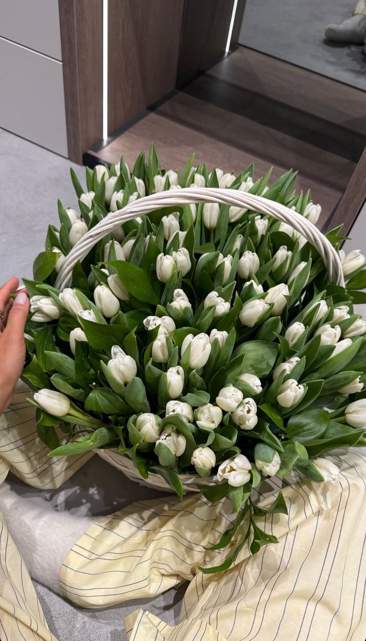 Tulips Basket