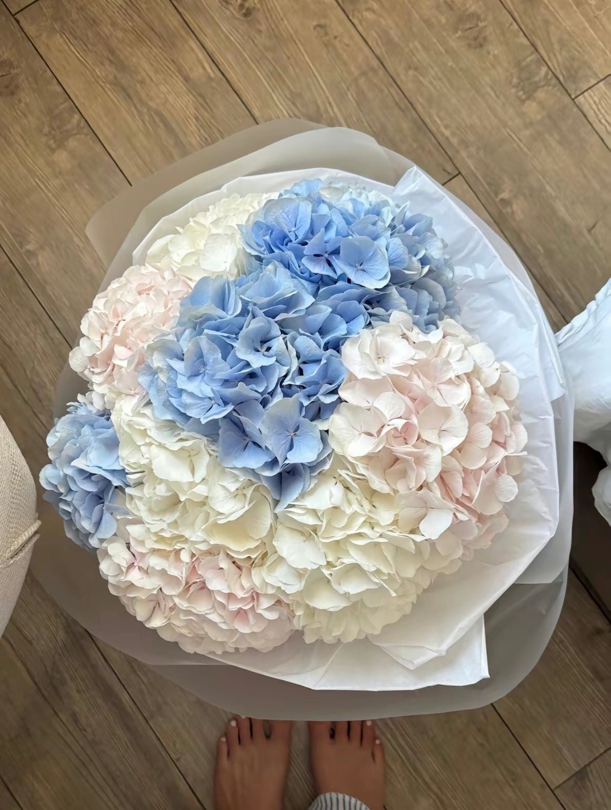 9 Hydrangea Obsession