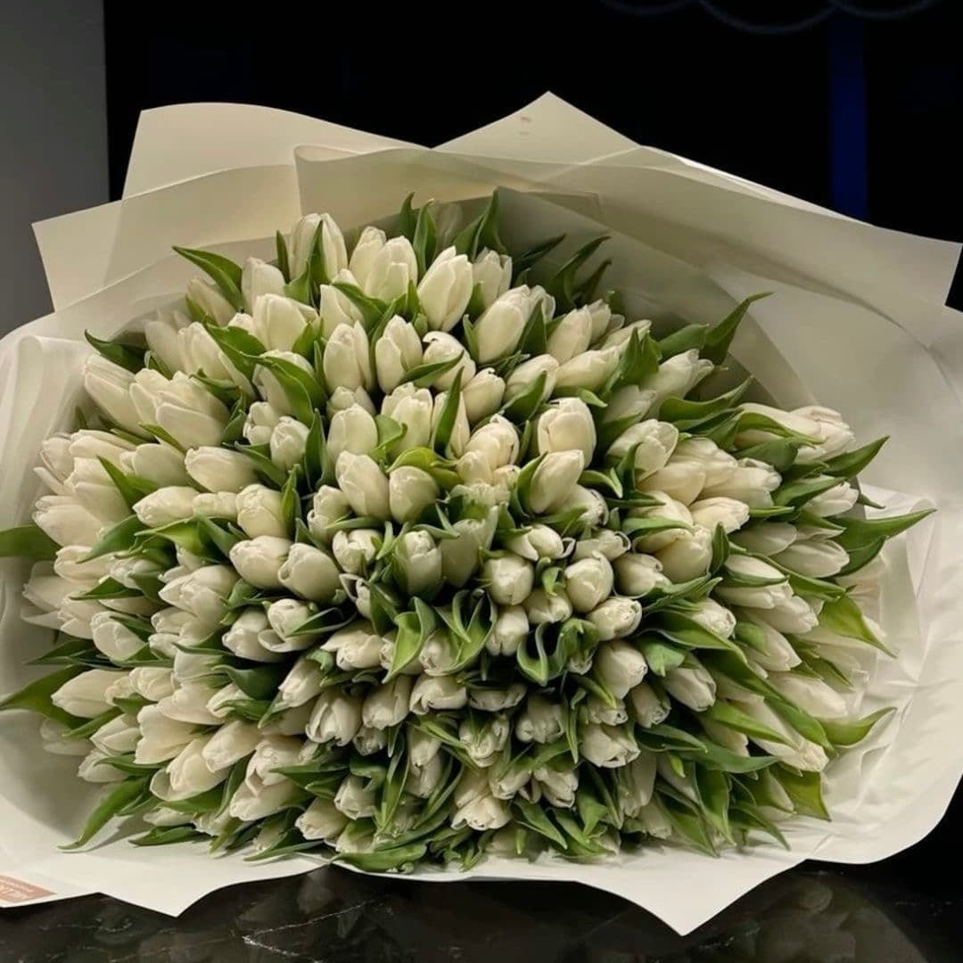 "Lisette" 100 Tulips