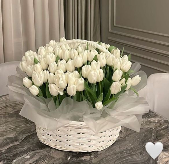Tulips basket White