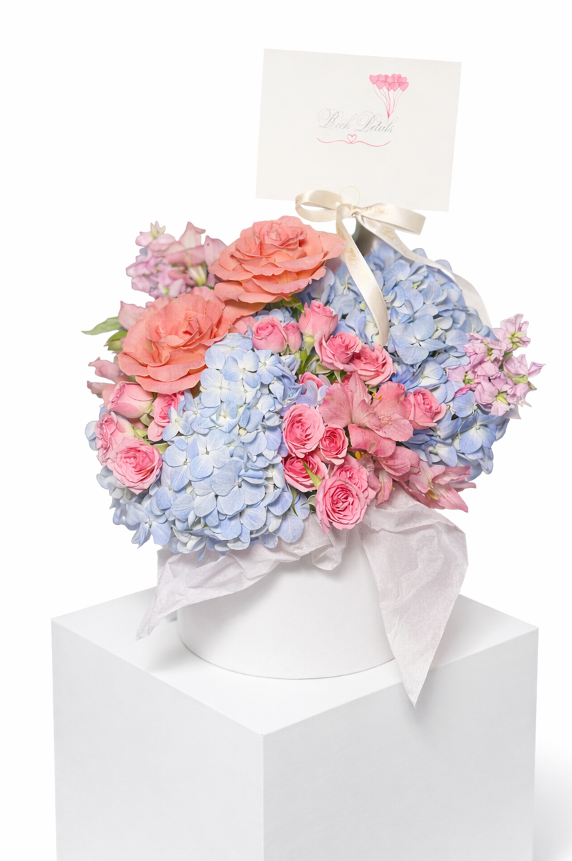 "Maison d'Hortensia" Box M