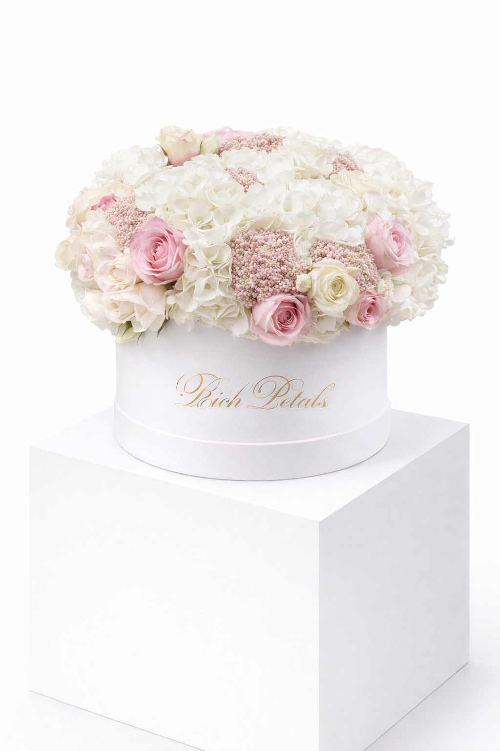 "CARRIE" M BOX