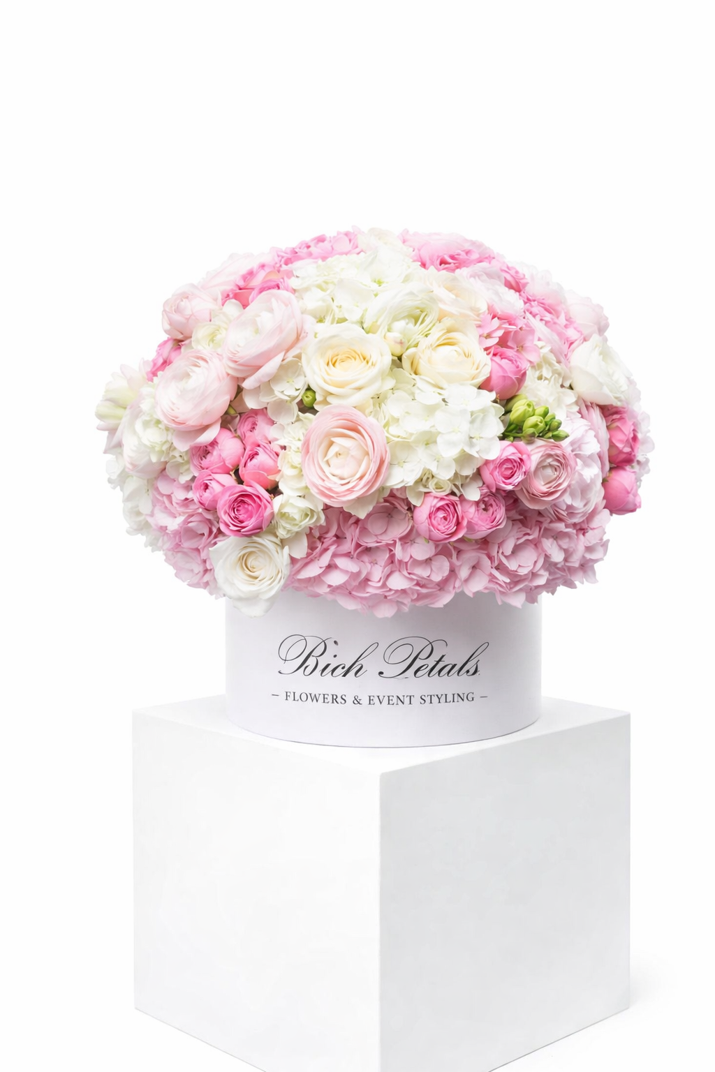 "SANDRA" Box L