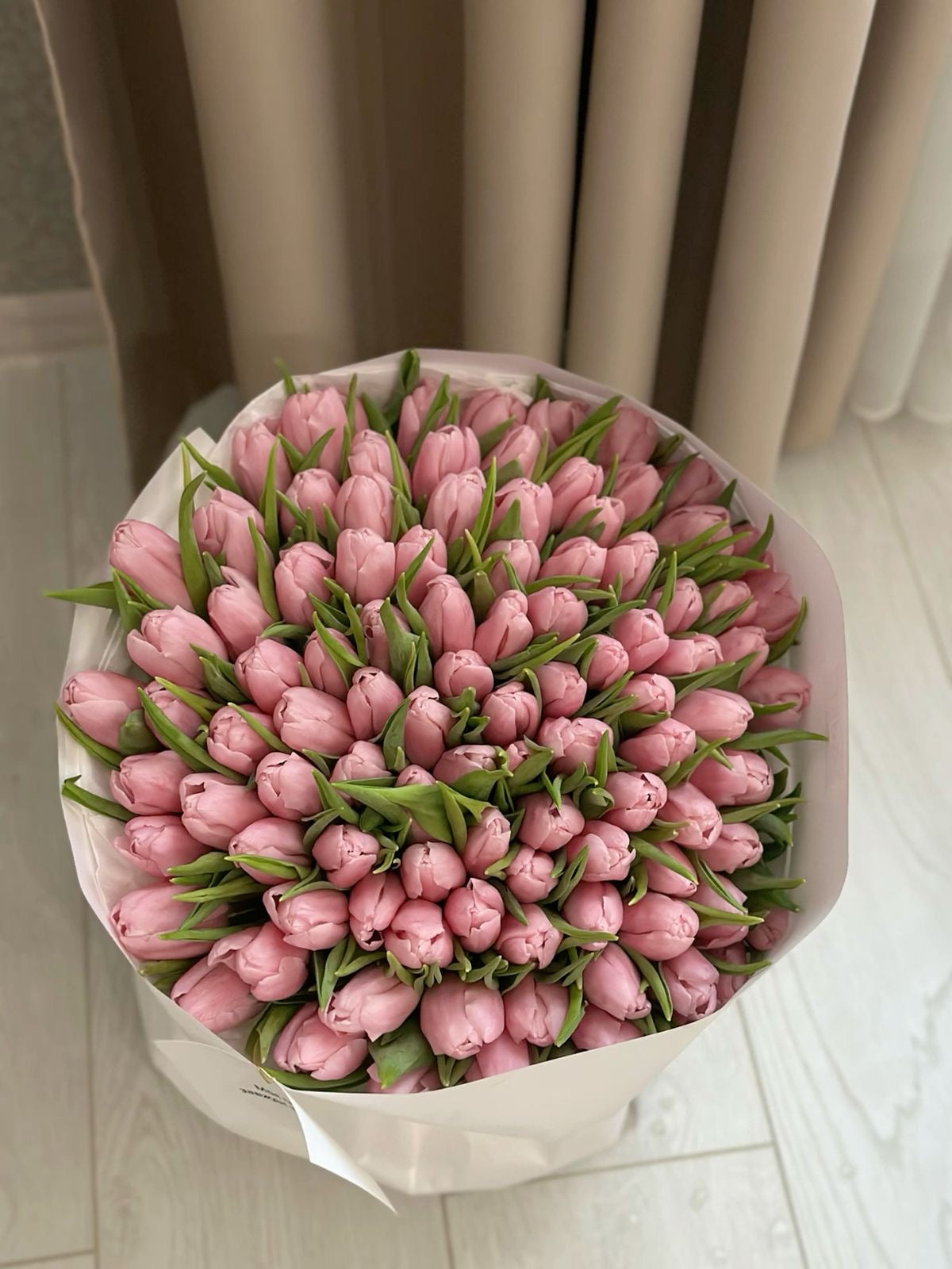 155 Royal Tulip Collection