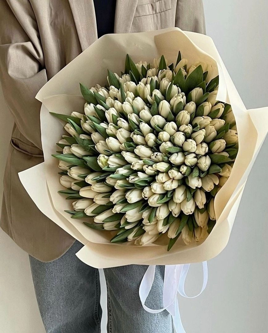 125 White Tulips "Maison Blanche"